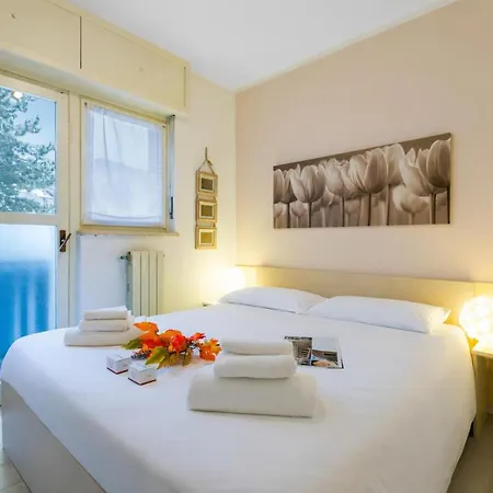 Cotolivier 59 - Happy *