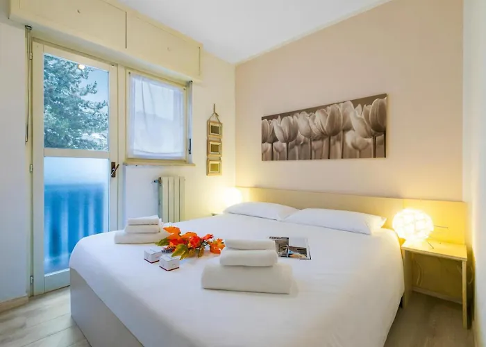 Cotolivier 59 - Happy *