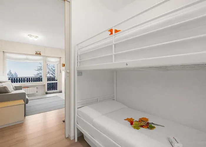 Cotolivier 59 - Happy * Oulx