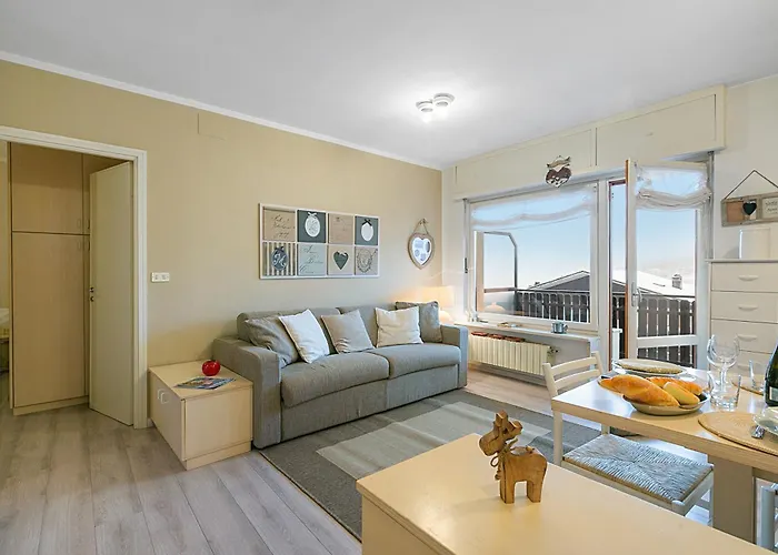 Cotolivier 59 - Happy