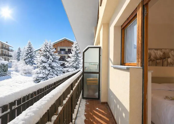 Cotolivier 59 - Happy