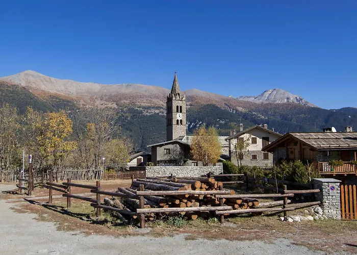 Cotolivier 59 - Happy *